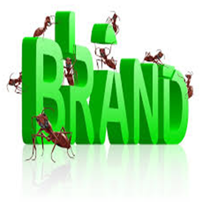 Brand building services